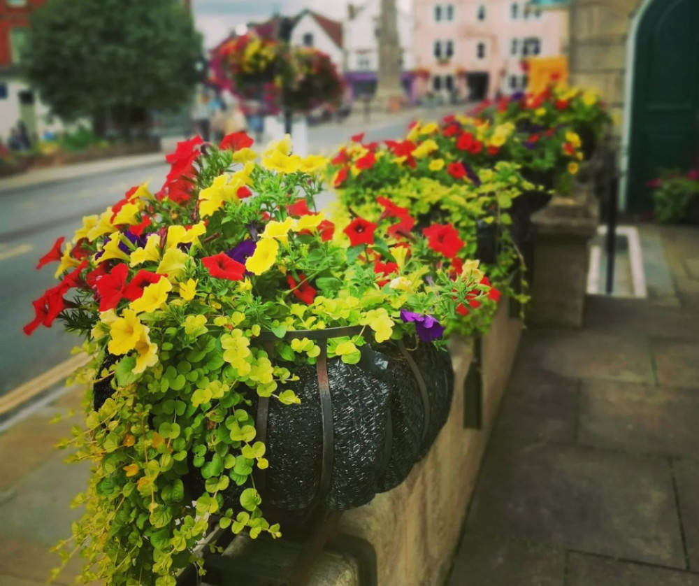 Floral displays outside Glastonbury Town Hall (Photo: Normal for Glastonbury/Glastonbury in Bloom) 