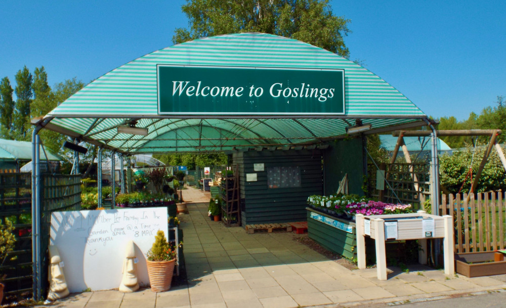 Goslings closed (Picture: Nub News)