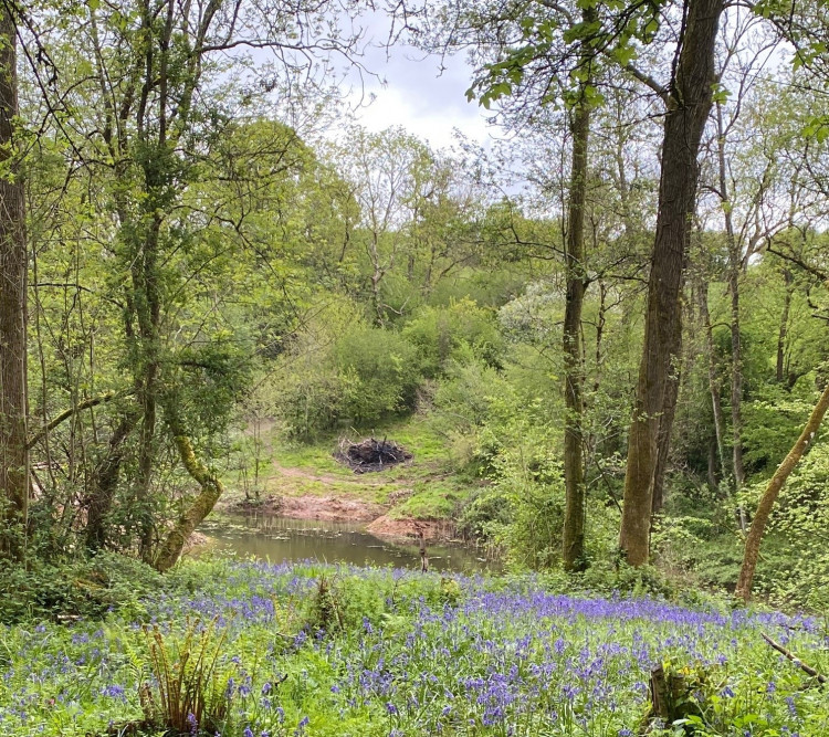 Pond area before large scale dumping and biking, image supplied by campaigners