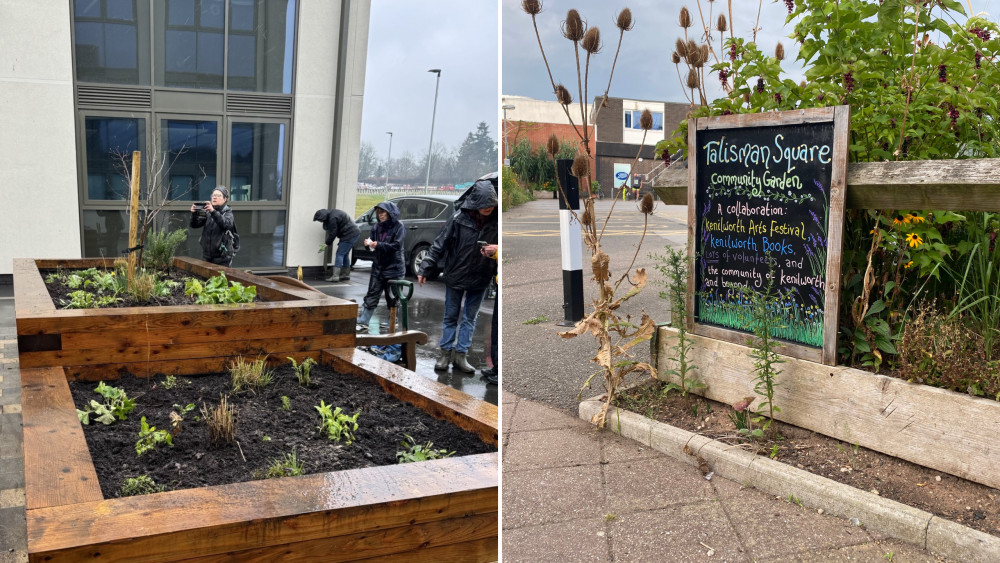 Plants have been moved from Talisman Square to Kenilworth School (images supplied / by James Smith)