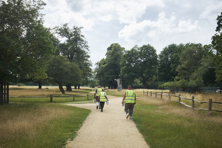 The Friends of Richmond Park explain how you can help save skylarks nesting in Richmond and Bushy Parks (Photo: Ollie G. Monk)