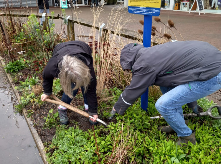 The plants need to be removed from Talisman Square by the end of March (image via FoTS)