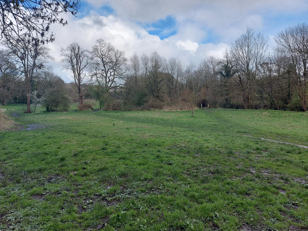 Frome's Rodden Meadow, image Frome Nub News