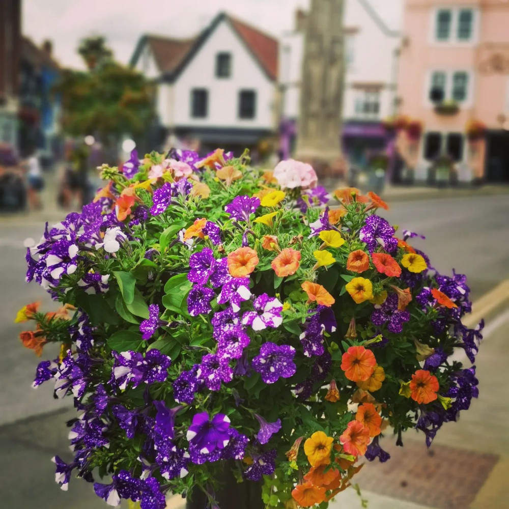 Glastonbury In Bloom display, 2023, image Somerset Council 