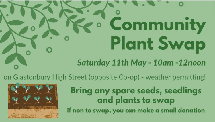 Glastonbury Seedling & Plant Swap