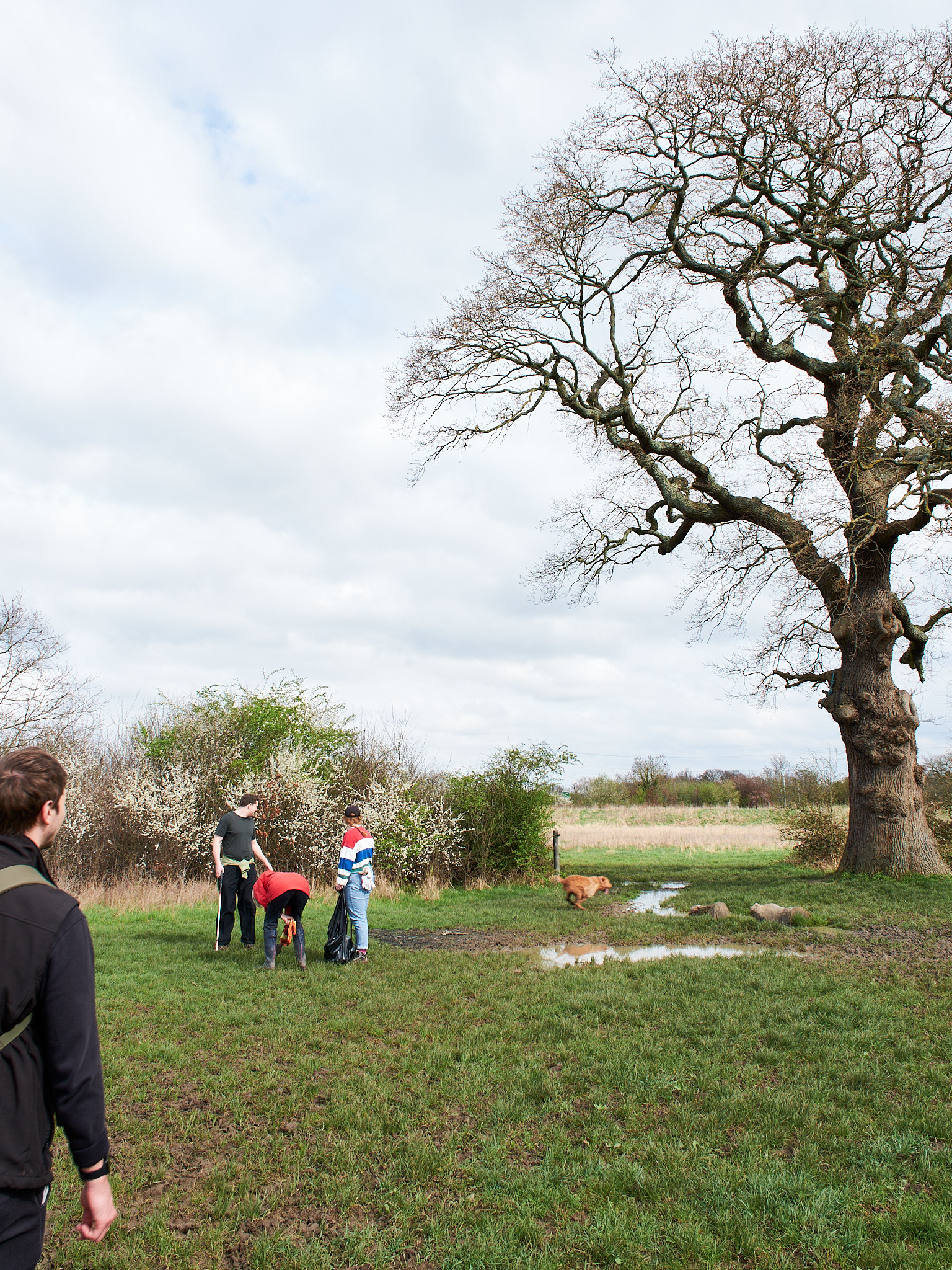 Dogs will still be welcome once the livestock – including a dozen cows – arrives, but will have to be kept on leads in the reserve (Photo: Oliver Monk)