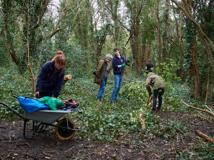 Grey Court students are helping local environmentalist group Friends of Ham Lands (Photo: Oliver Monk)