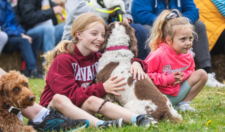 DogFest