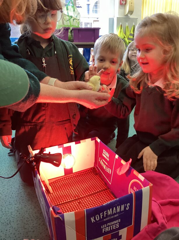 Huge smiles as the first chick hatched, image Vallis School