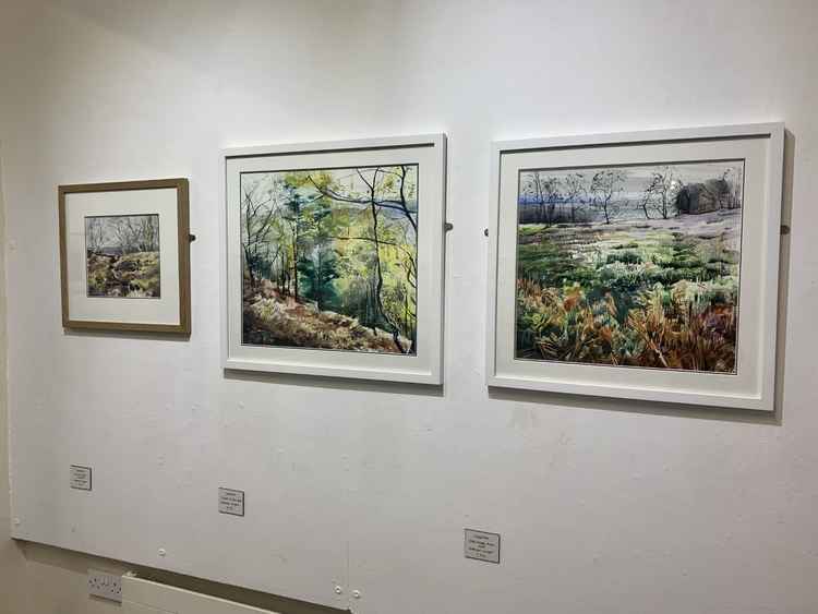 'Path to the Edge, Bickerton Hill', 'Pockets of Open Space' and 'Stroll through Moss Wood by Sophie Parr