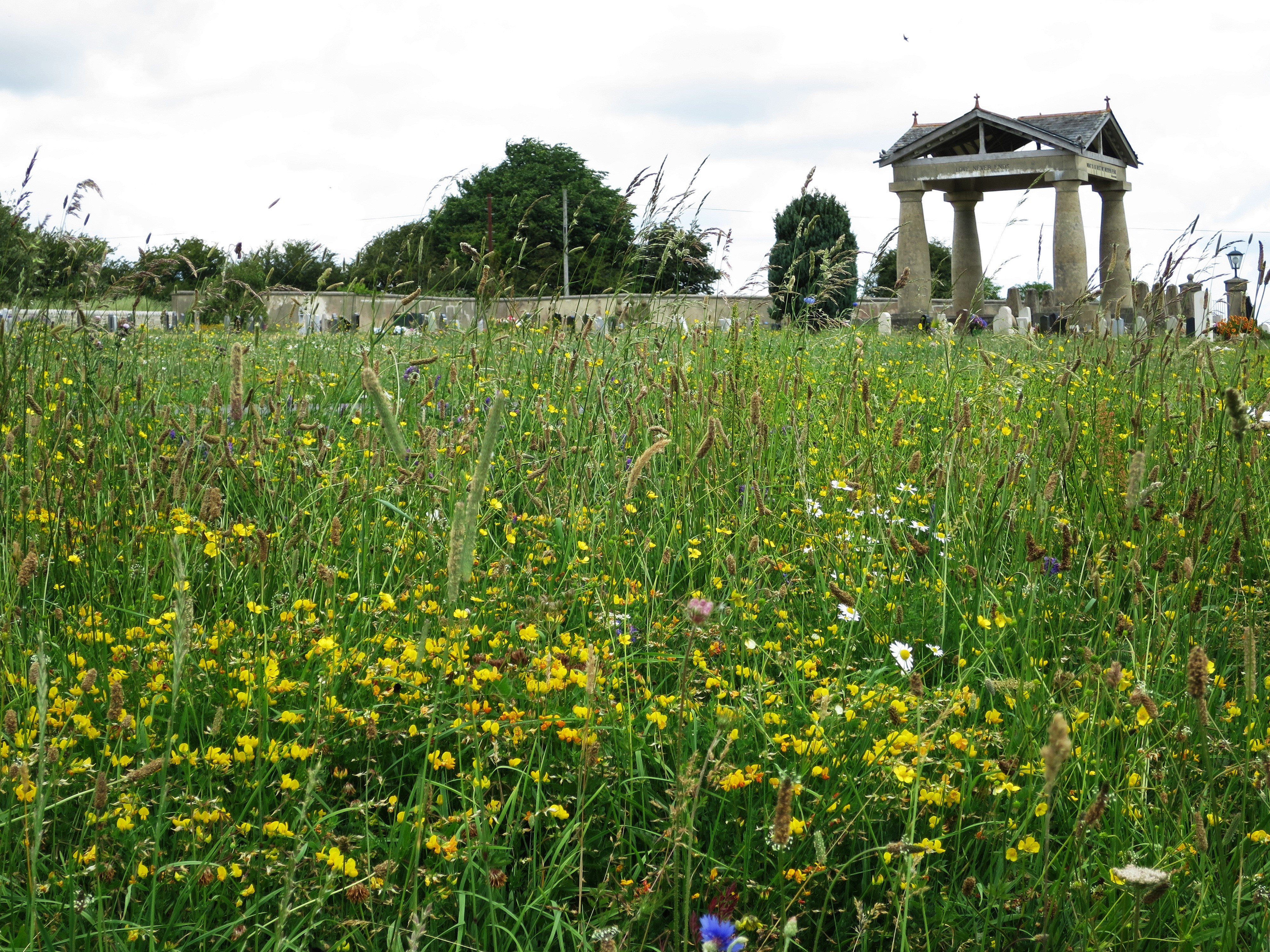 Poundbury cemetery