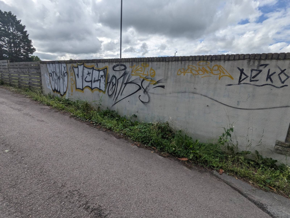 Graffiti in Shepton Mallet (Photo: LL) 