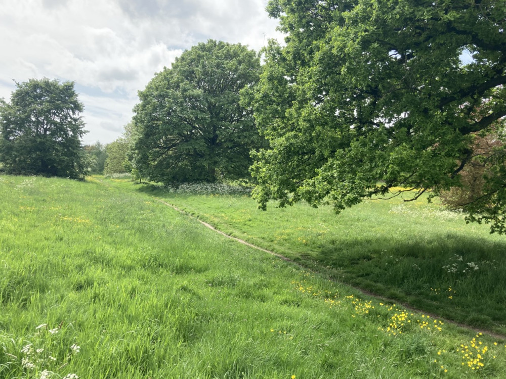 Volunteers and groups across the borough have been recognised for their work in looking after the borough's green spaces (Image - Alasdair Perry)