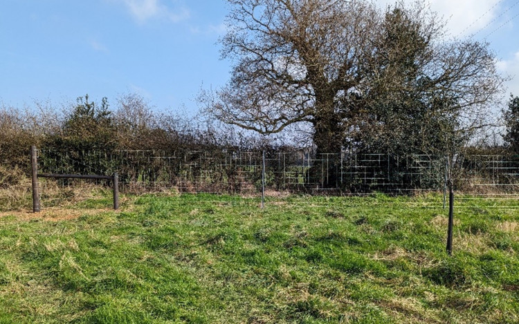 New deer fencing (Picture: National Landscapes)