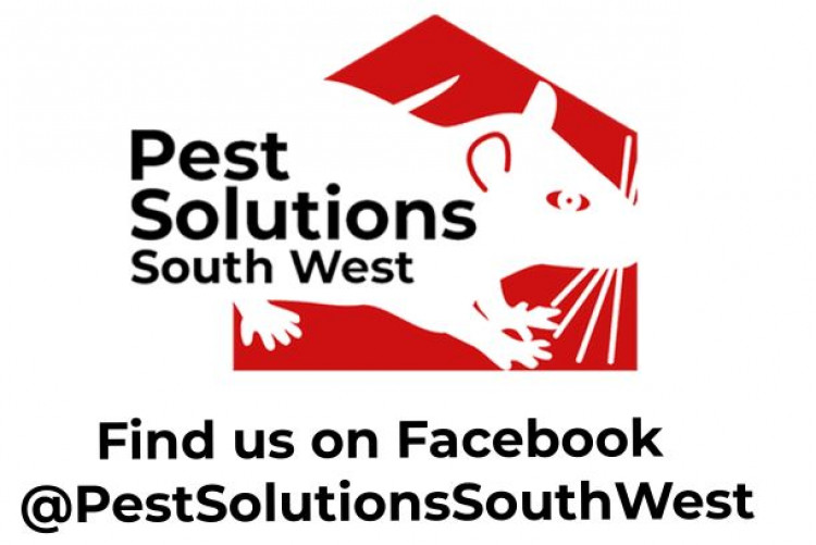 Pest Solutions South West Ltd