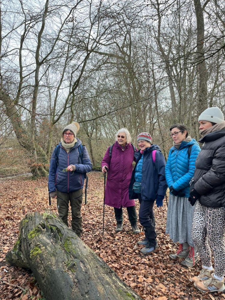 Deep Time and Foraging walk