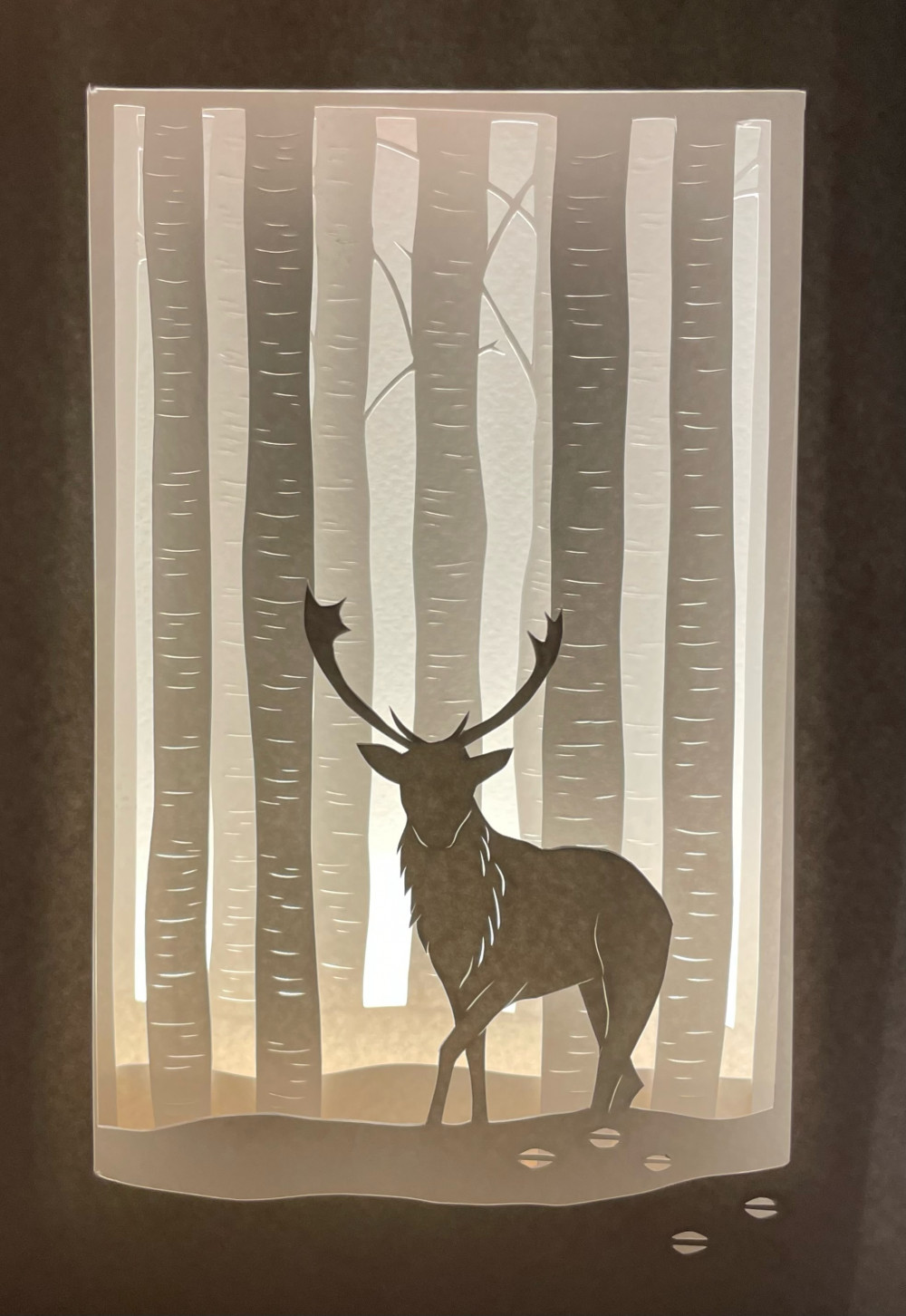 Make a Papercut Lightbox