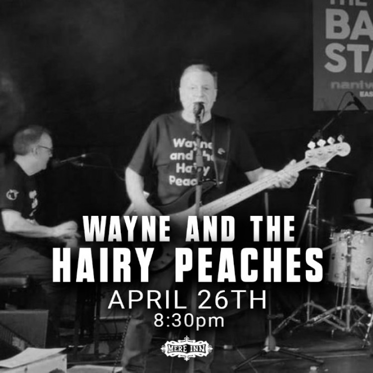 Wayne and the Hairy Peaches 