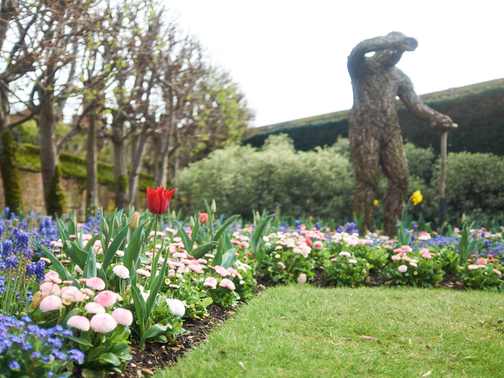 Hampton Court Palace's Tulip Festival starts today, 8 April (Photo: Oliver Monk)