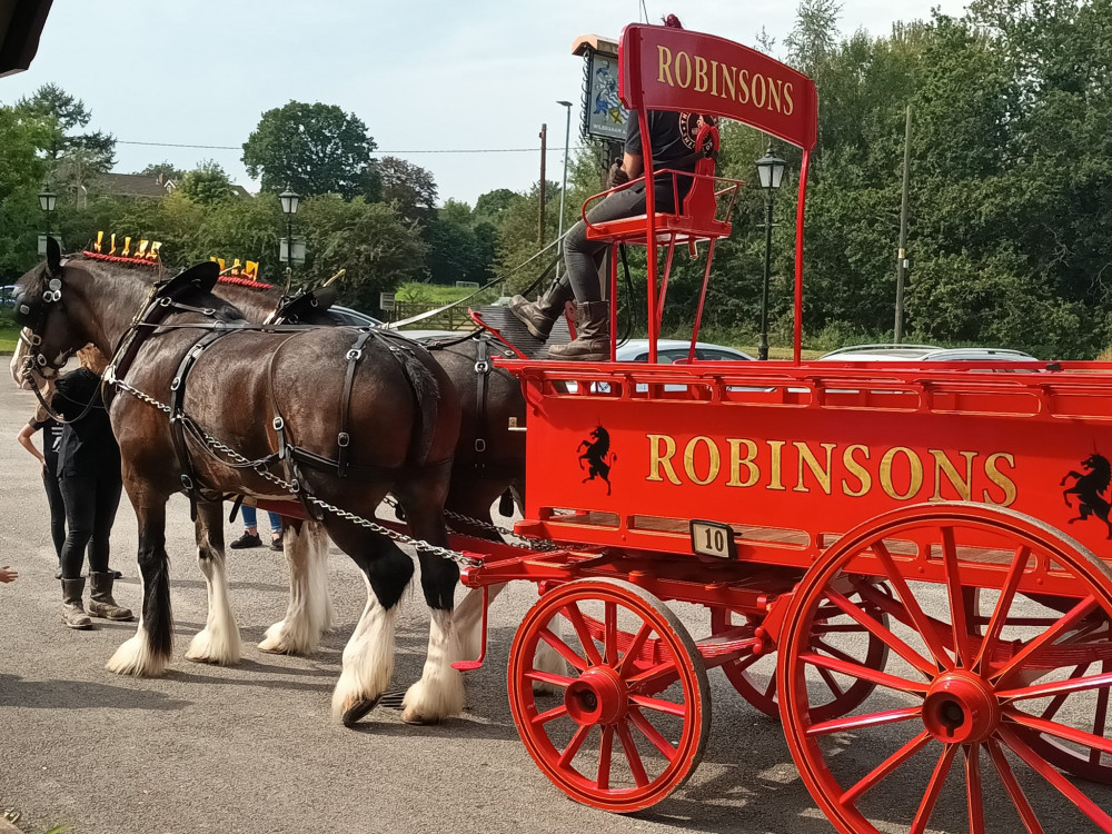 Robinsons' famous shire horses are coming to Alsager! (Photo: Wilbraham Arms/Robinsons Brewery)