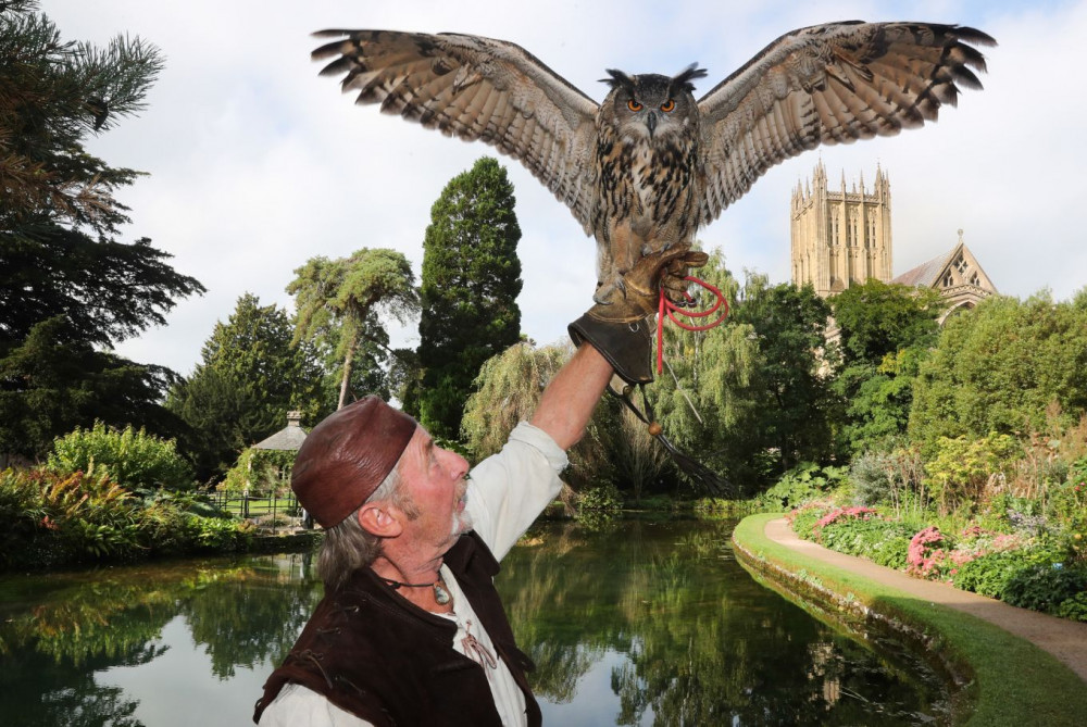 If you're looking for a day out with a difference, don't miss The Bishop's Palace's Medieval Falconry Day on Saturday 13th April.