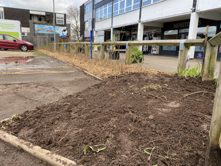 The plants needed to be removed from Talisman Square by the end of March (image by James Smith)