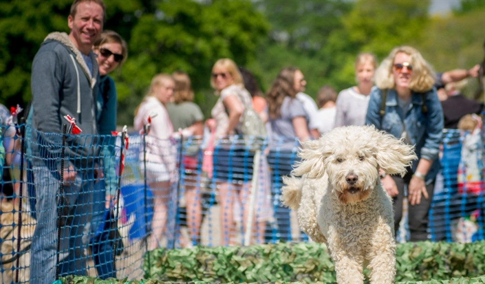 The event focuses on strengthening the bond between humans and their canine companions. 