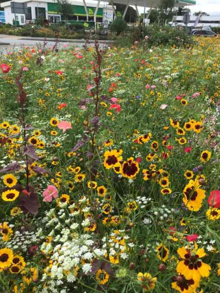 Photo courtesy of Oakham in Bloom