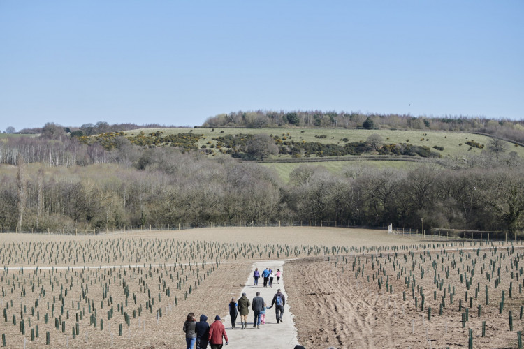 There is a guided tour of St Peter's Wood. Images: Supplied