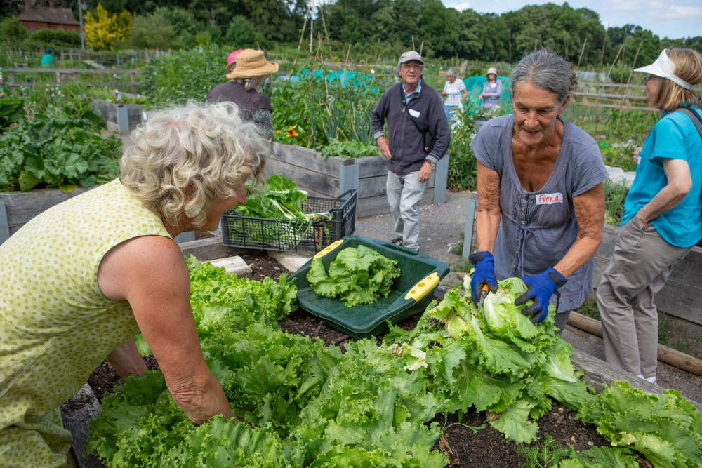 The grant has previously helped fund the Step Outside gardening group run by In Jolly Good Company, a dementia-friendly group which is open to all.