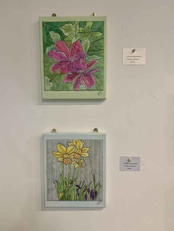 'The Best of Nature 1 and 2' by Sue Chisnall-Sumner