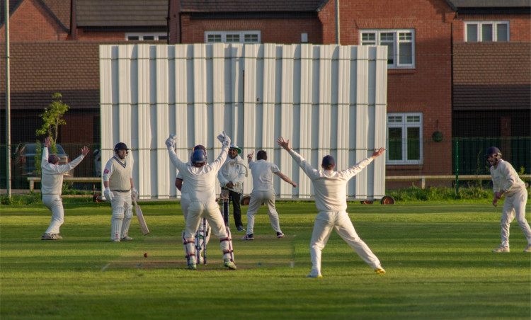 The 2024 cricket season is underway! (image by Sam Leach)