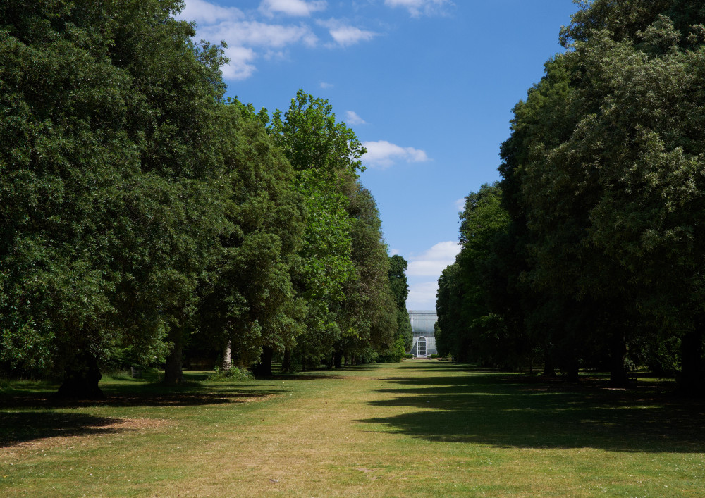 Kew Gardens has announced brand new events for summer 2024 (credit: Ollie G. Monk).