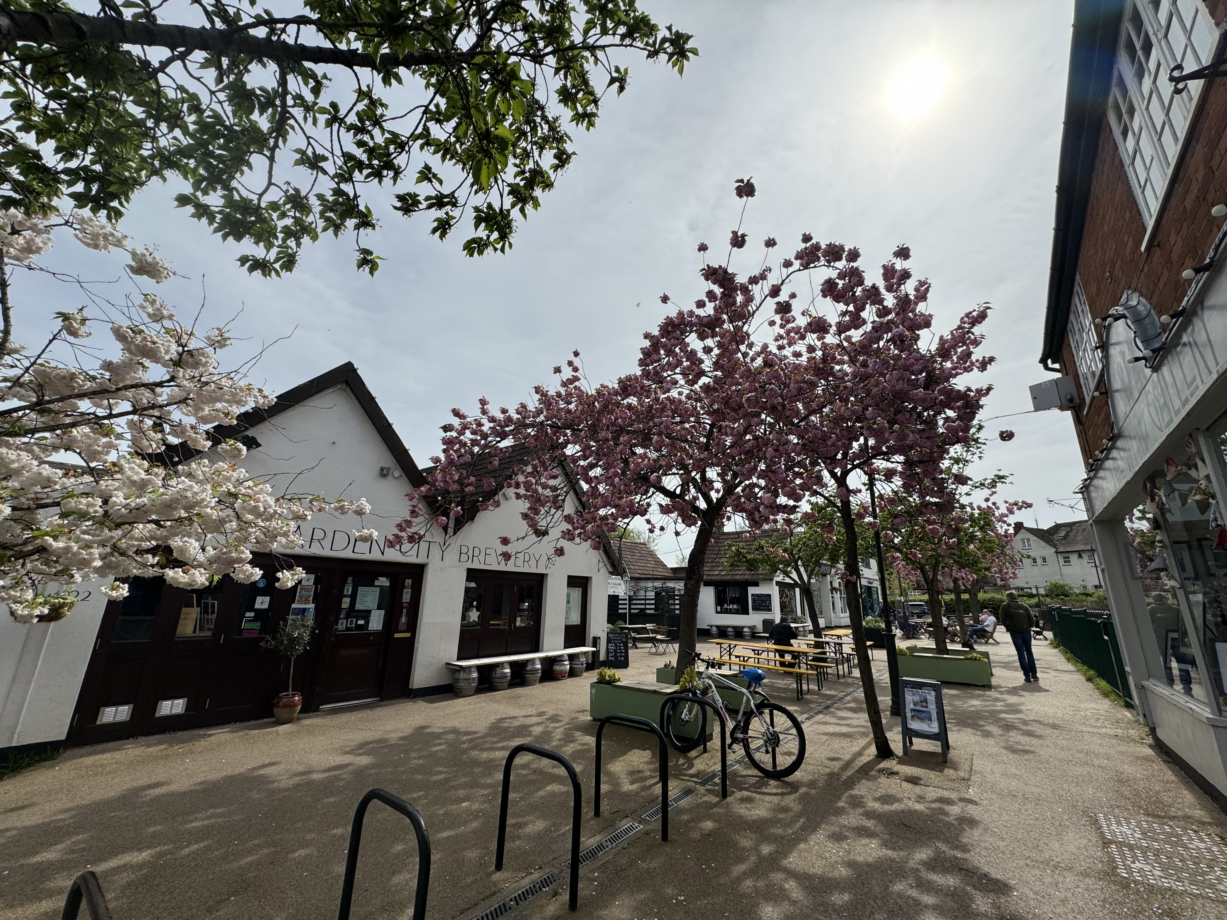 Blooming Marvellous: Catch Letchworth's wonderful cherry blossom in bloom while you can this spring. PICTURE: Letchworth Nub News visited The Wynd recently to take in the wonderful cherry blossom - why not catch the lovely sight while you can. CREDIT: Letchworth Nub News  