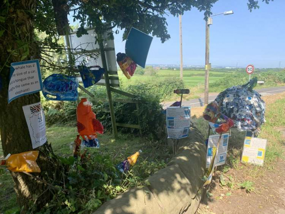 Manley School have created a scarecrow of a whale