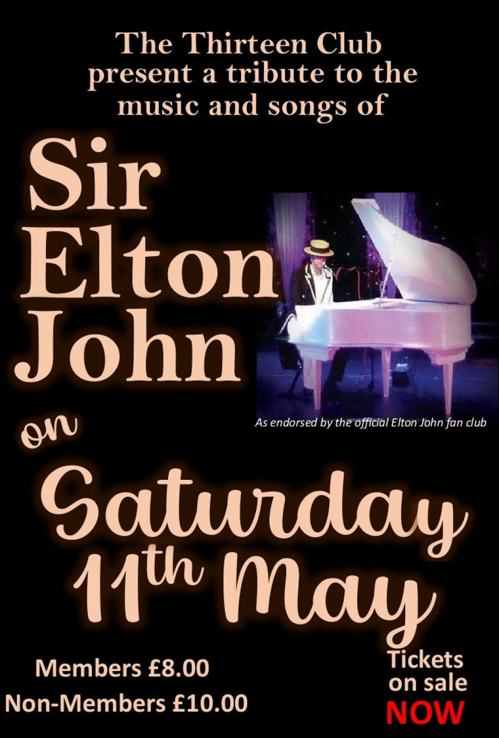 Elton John Tribute Night