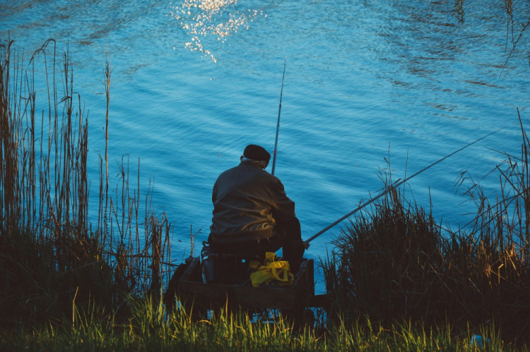 Aidan Powell, 22, from Blackberry Road in Frome has been fined (image via pixabay)