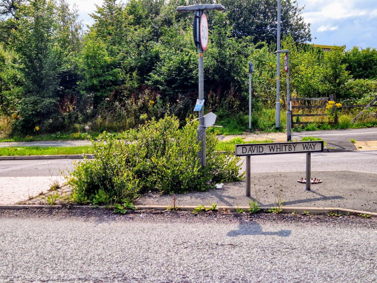 Plans have been submitted for 20 new homes, on land to the west of David Whitby Way in Crewe (Ryan Parker).