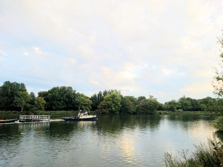 An alert from the Environment Agency this morning, 7 May, warns of possible flooding around Twickenham ‘as a result of spring tides’. (Photo: Ollie G. Monk)