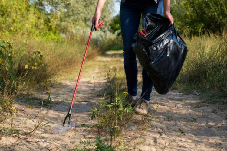 North West Leicestershire District Council is aiming to be greener and cleaner. Photo: Pixabay