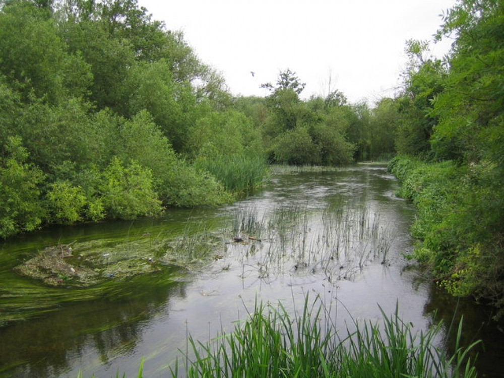 River Colne by West Drayton (credit: Nigel Cox). 