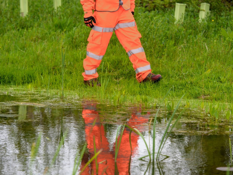 The stream is a tributary of Canley Brook (image via HS2)