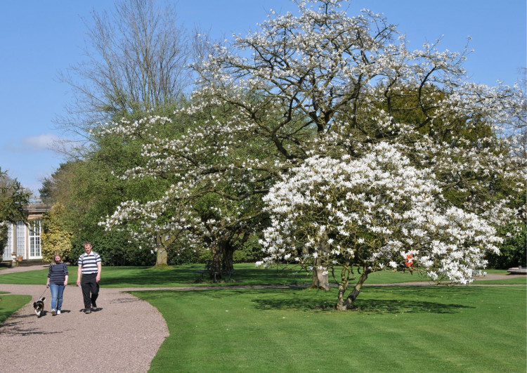 Tatton Park is trialling dogs on short leads in Tatton’s formal gardens during the summer. (Photo: Tatton Park) 