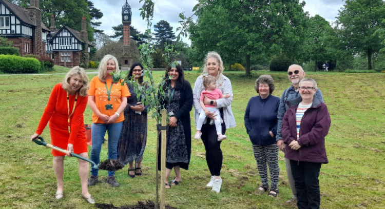 Cllr Carol Bulman helps to plant the tree with members of the fostering service and some foster carers at Queens Park in Crewe (Cheshire East Council).