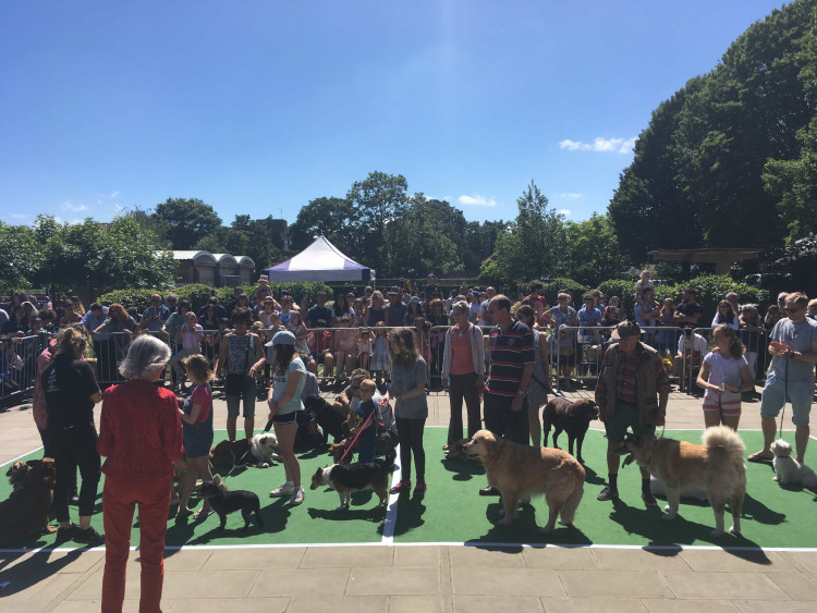 A dog show is just one of the exciting events going on in Twickenham this weekend. (Photo: Twickenham Riverside Trust)