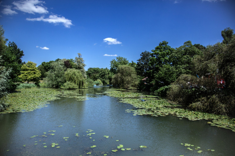 The River Leam in Warwickshire (image supplied)