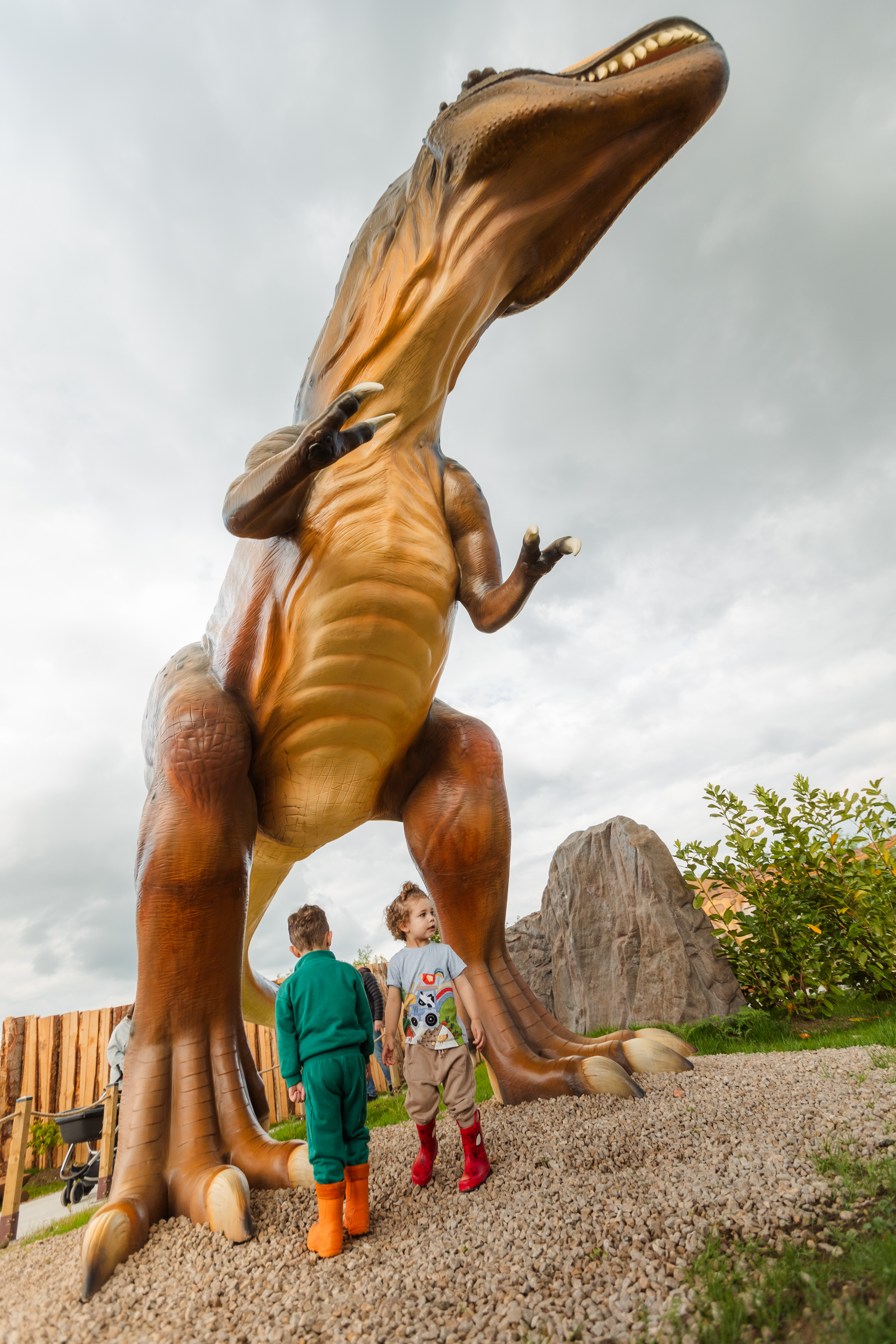 There are Dino's of all shapes and sizes. (Photo: Michael Chudley)