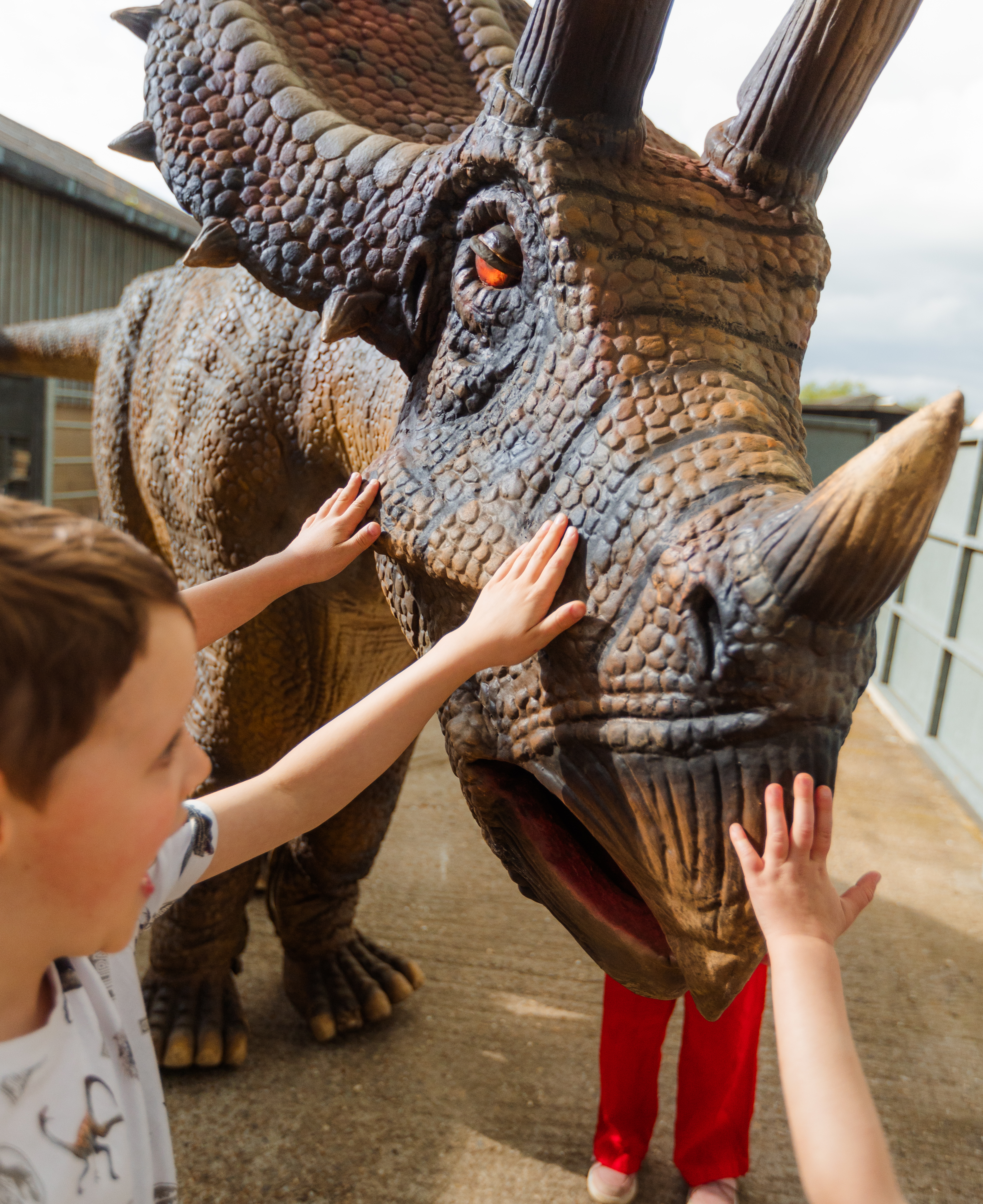 The children get up close with Dinosaurs. (Photo: Michael Chudley)