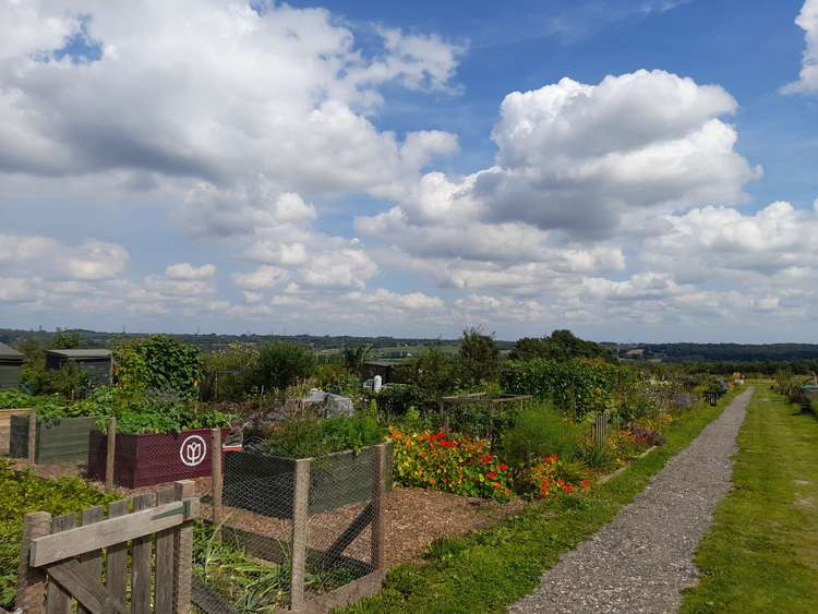 Frodsham Townfield Allotments is located on Langdale Way &, Townfield Ln, Frodsham.