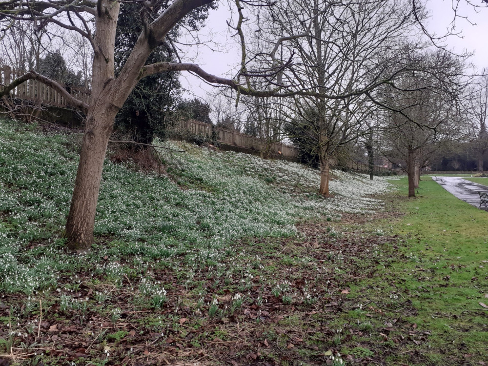 Public Spaces Protection Orders deal with nuisance and anti-social behaviour in council parks and spaces (image by WDC)